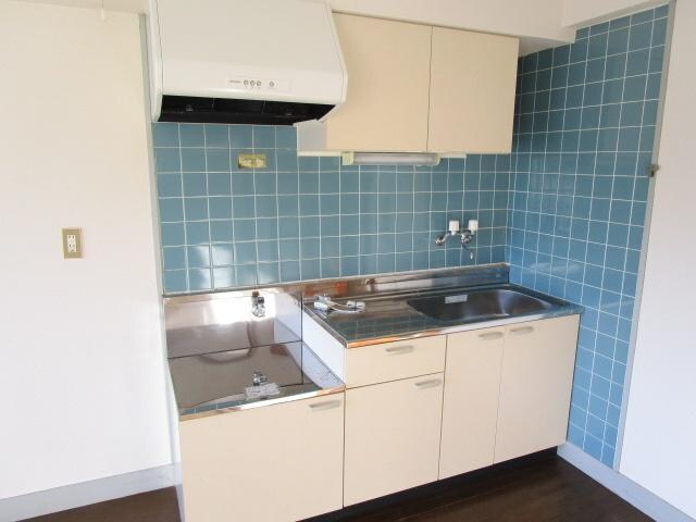 物件内観写真5　(キッチンはシンクが広め)