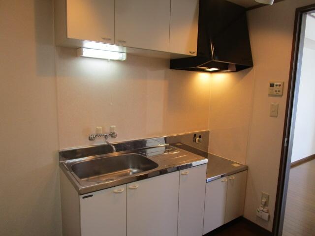 物件内観写真9　(シンクが広めのキッチン)