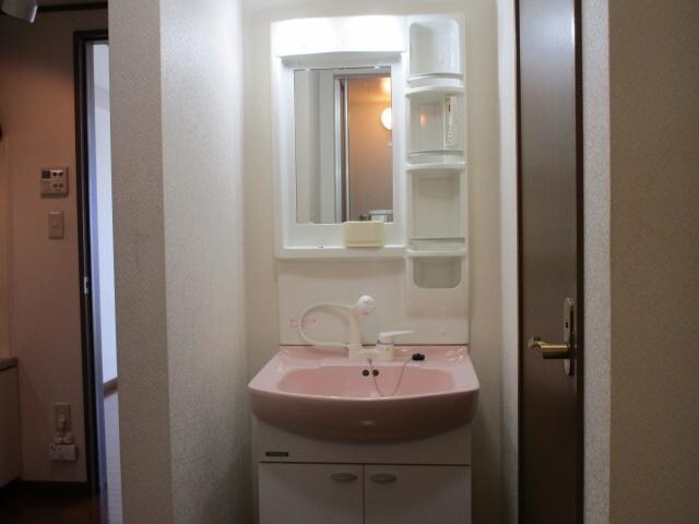 物件内観写真11　(洗面台はシャワー付き)