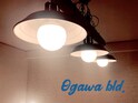Ogawa Bld