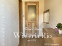 Wisteria Rio