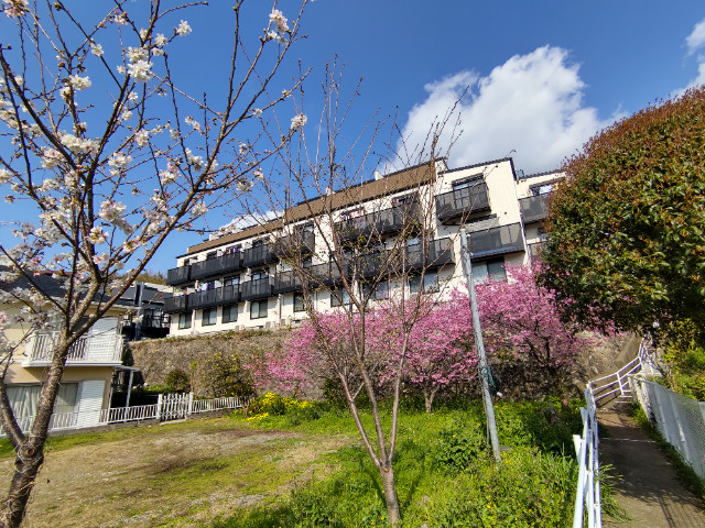 Bella Vista 西坂