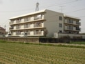 ハイツ川島