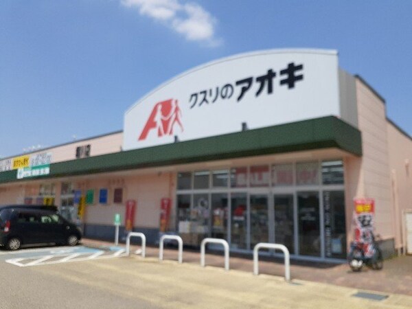 周辺環境(クスリのアオキ堀川店まで1000m)