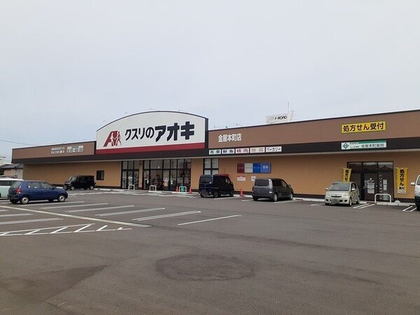 周辺環境(クスリのアオキ金屋本町店まで800m)