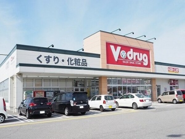 周辺環境(Ｖ・ｄｒｕｇ藤の木店まで1100m)