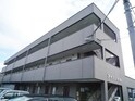 アイリス石金