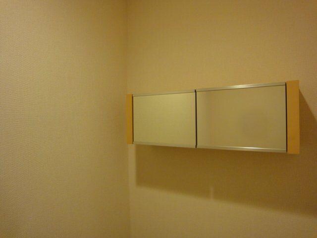 物件内観写真7　(ＷＣ収納)