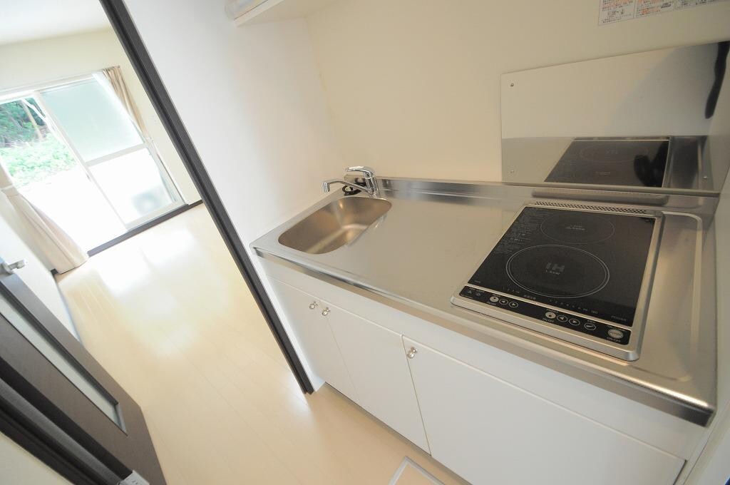 物件内観写真3　(IH(手前）、ラジエントヒーター(奥）の２口コンロ)