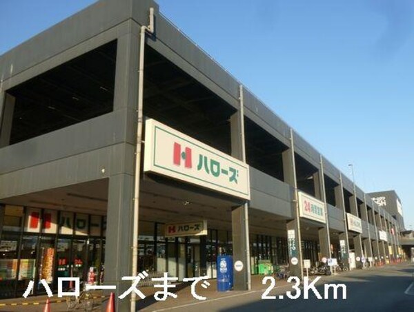 居室(ハローズまで2300m)