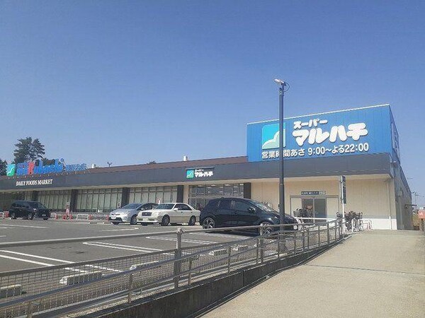 居室(スーパーマルハチ藤原台店様まで550m)