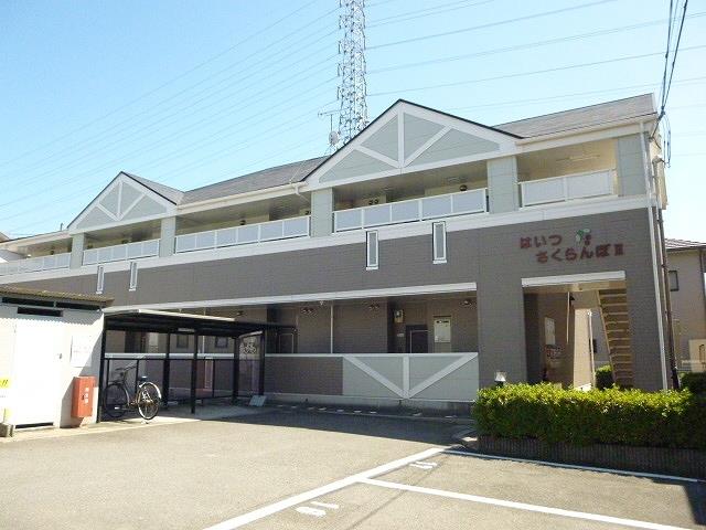 はいつさくらんぼIII