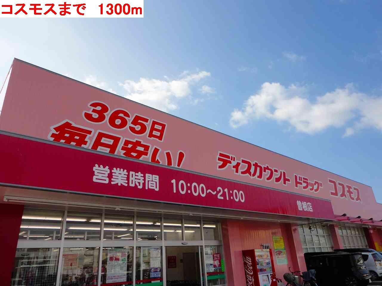 物件内観写真14　(コスモスまで1300m)