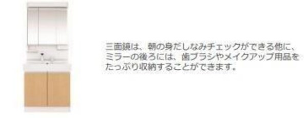 洗面・脱衣所(洗髪洗面化粧台（イメージ）)
