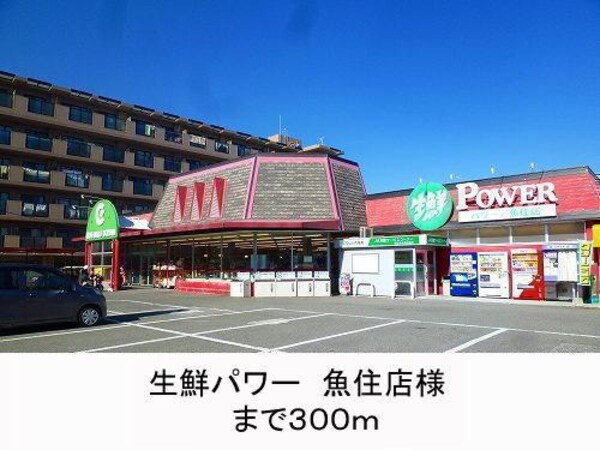 居室(生鮮パワー様まで300m)