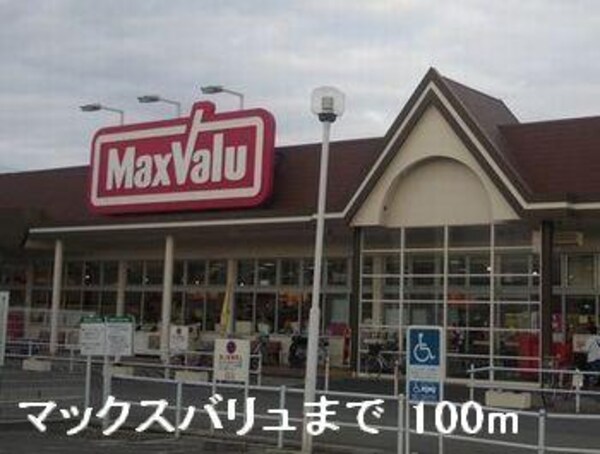居室(マックスバリュまで100m)