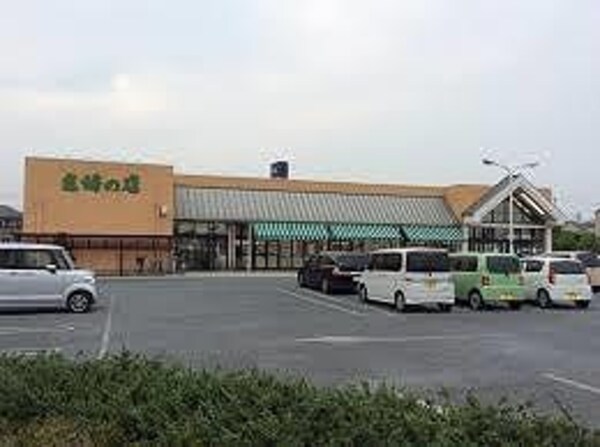 居室(主婦の店岡田店  35m)