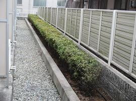 物件内観写真7　(バルコニー側)