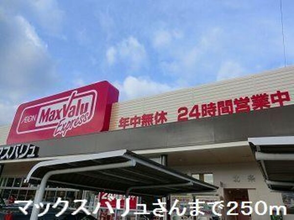 居室(マックスバリュさんまで250m)