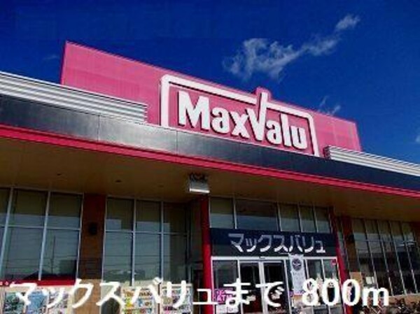 居室(マックスバリュまで800m)