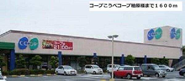 居室(コープこうべコープ柏原様まで1600m)