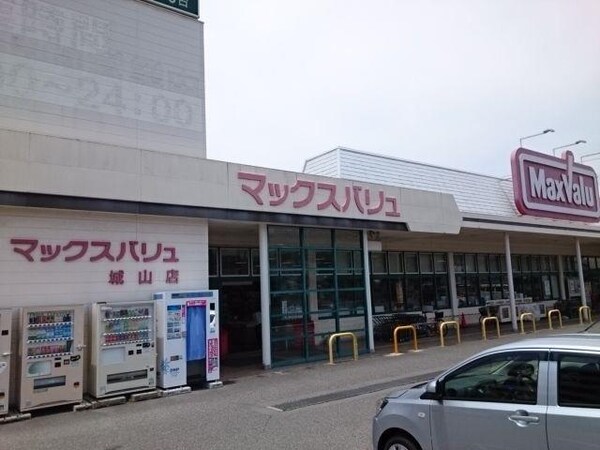 居室(マックスバリュ　城山店まで300m)