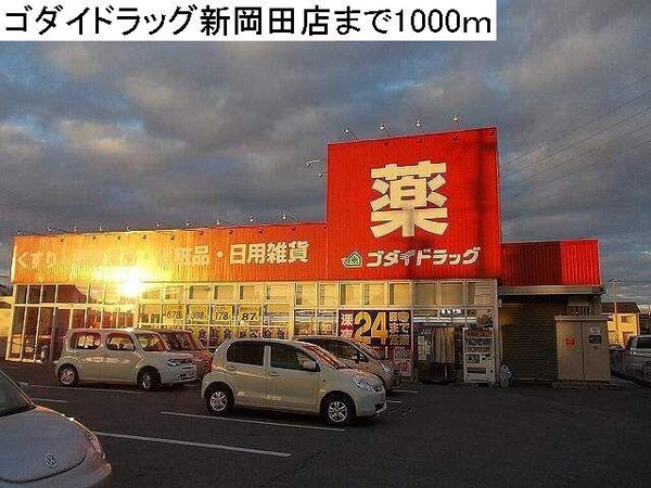 居室(ゴダイドラッグ新岡田店まで1000m)