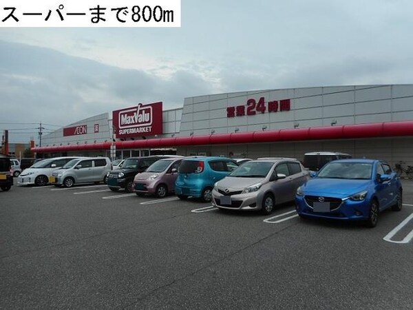外観(マックスバリュまで800m)
