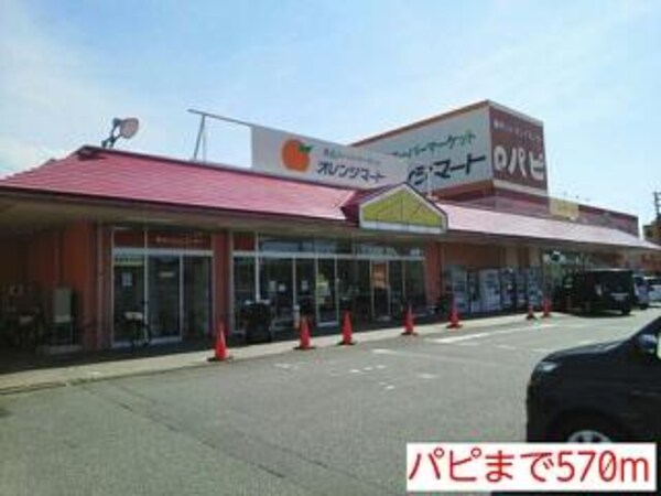外観(パピまで570m)
