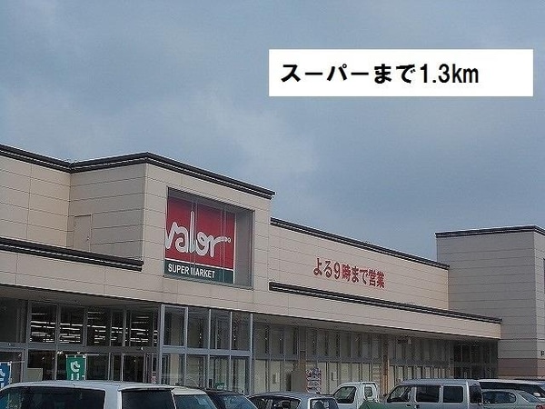 外観(バローまで1300m)