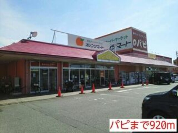 外観(パピまで920m)