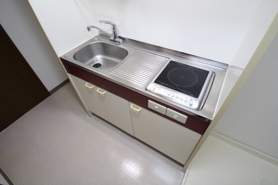 物件内観写真3　(他号室のお写真です)