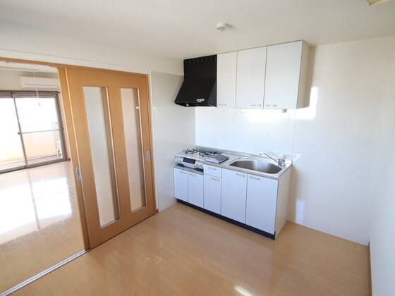 物件内観写真3　(他号室のお写真です)