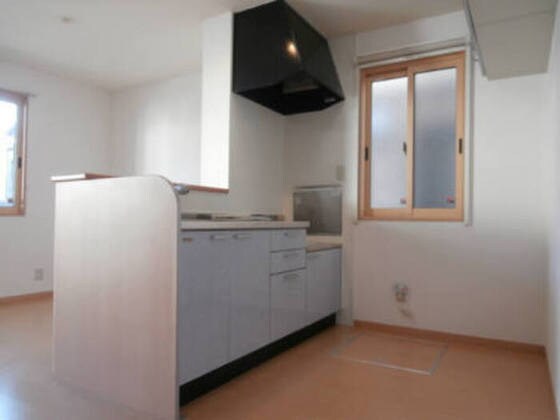 物件内観写真4　(他号室の写真です。)