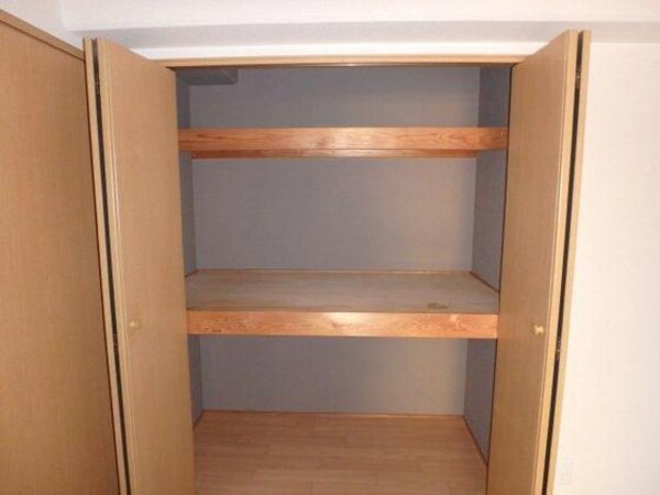 収納(※他号室の写真です)
