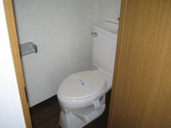 トイレ(※他号室の写真です)