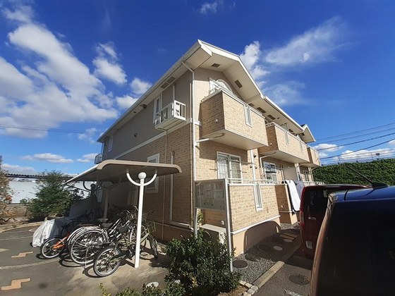 トゥルーランド錦　Ｄ