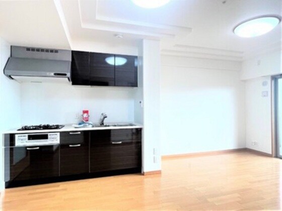 物件内観写真2　(他号室のお写真です)