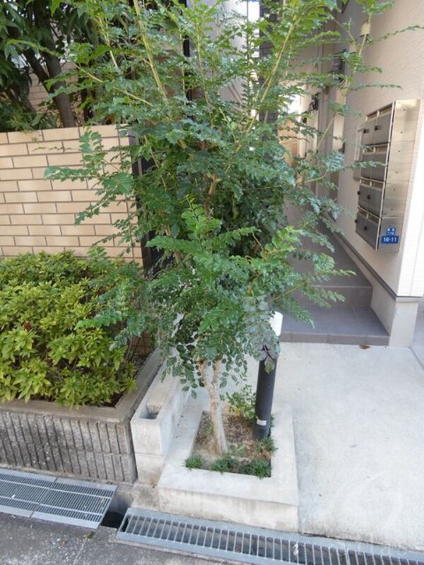 植栽