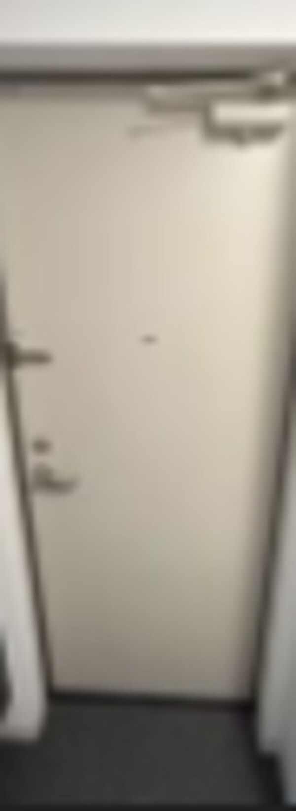 玄関(同仕様)