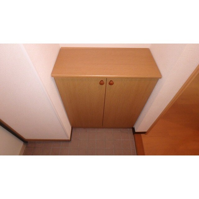 物件内観写真11　(ゆったりとした玄関です)