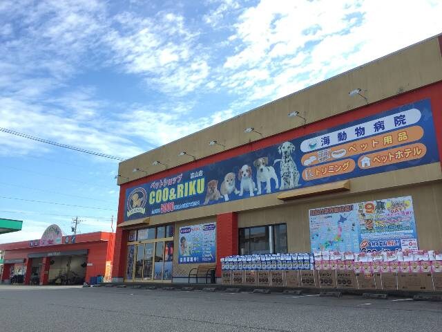 物件内観写真21　(ペットショップCoo&RIKU富山店 1795m)
