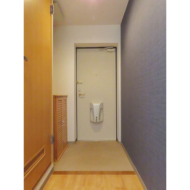 物件内観写真10　(収納もある玄関です)