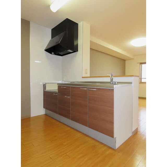 物件内観写真4　(キッチンです)