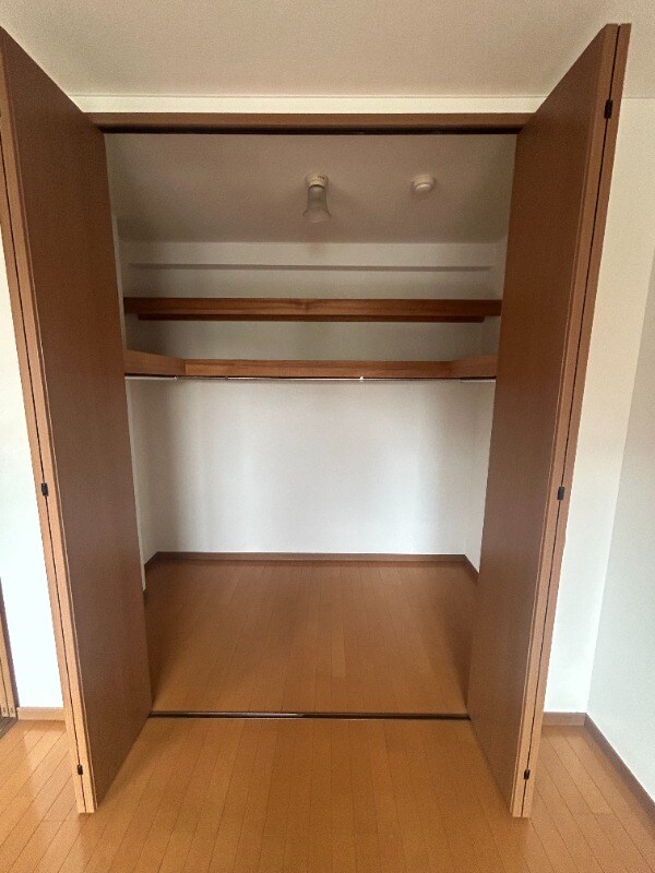 収納(大きいウォークインクローゼット)