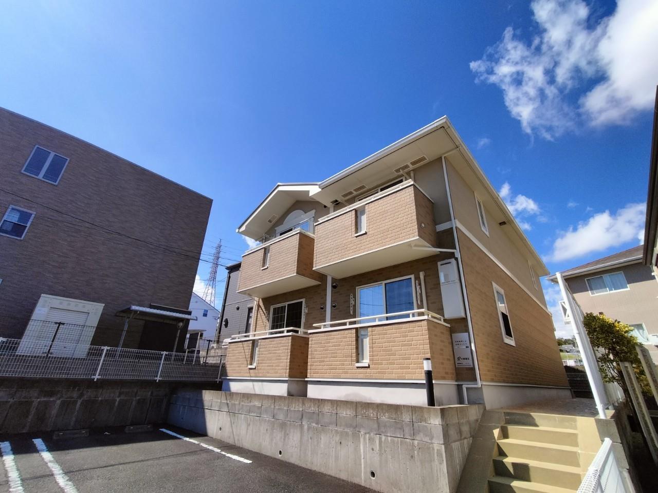 エヌ　プラシード