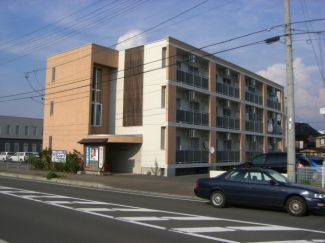 Court Fuji