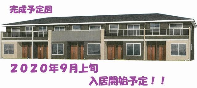 タウザーコート