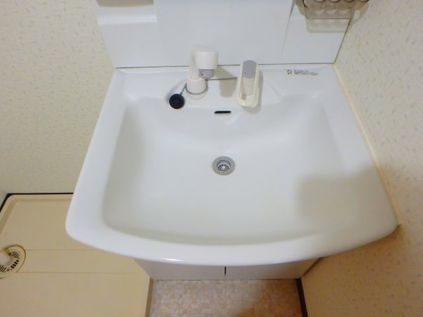 洗面・脱衣所(他のお部屋の参考写真となります。)
