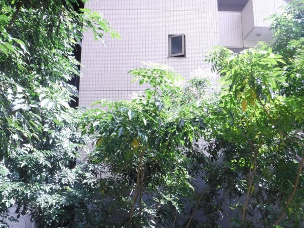 眺望(他のお部屋の参考写真となります。)